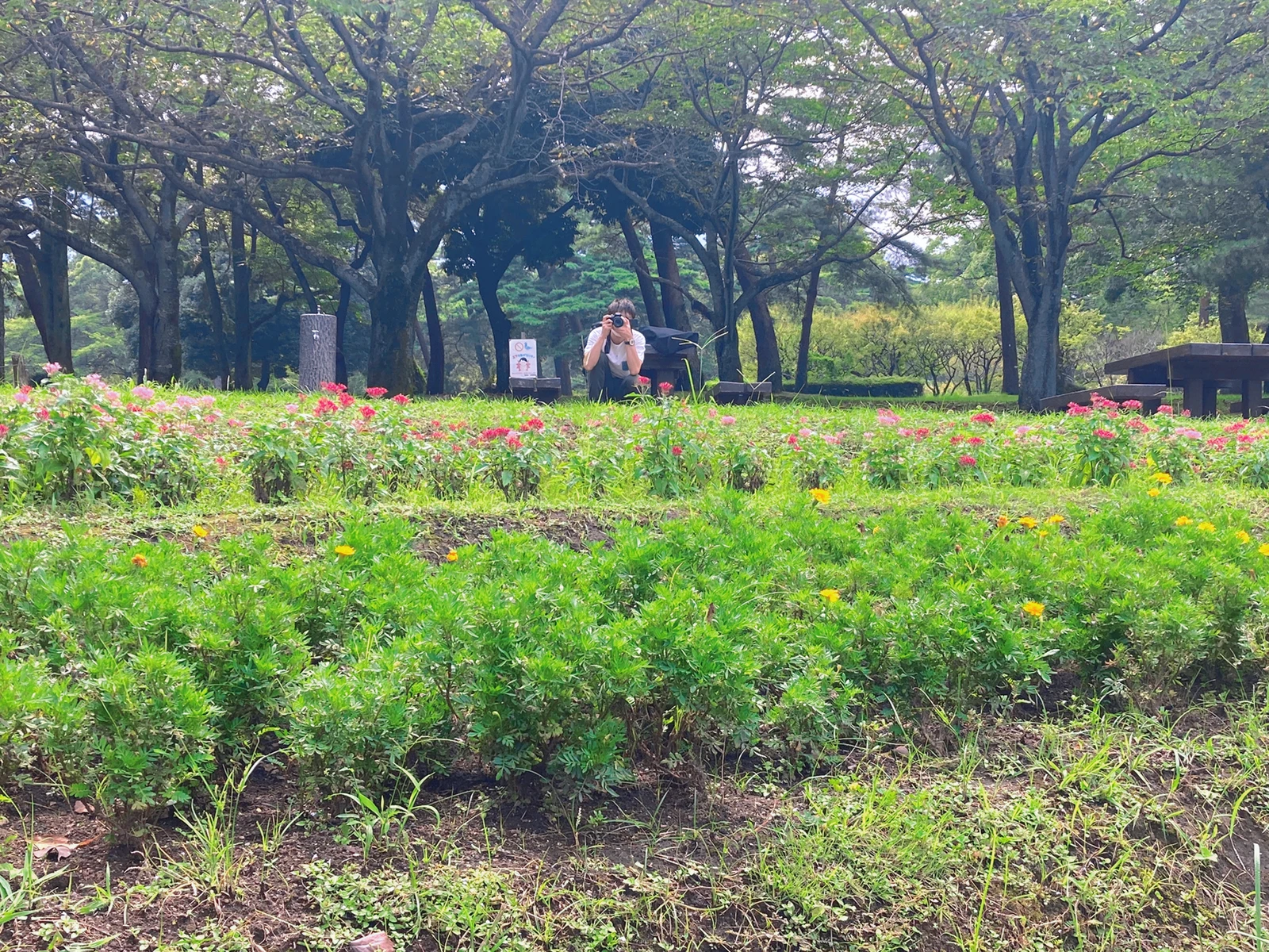 別府公園内 デート みっとうが投稿したフォトブック Lemon8
