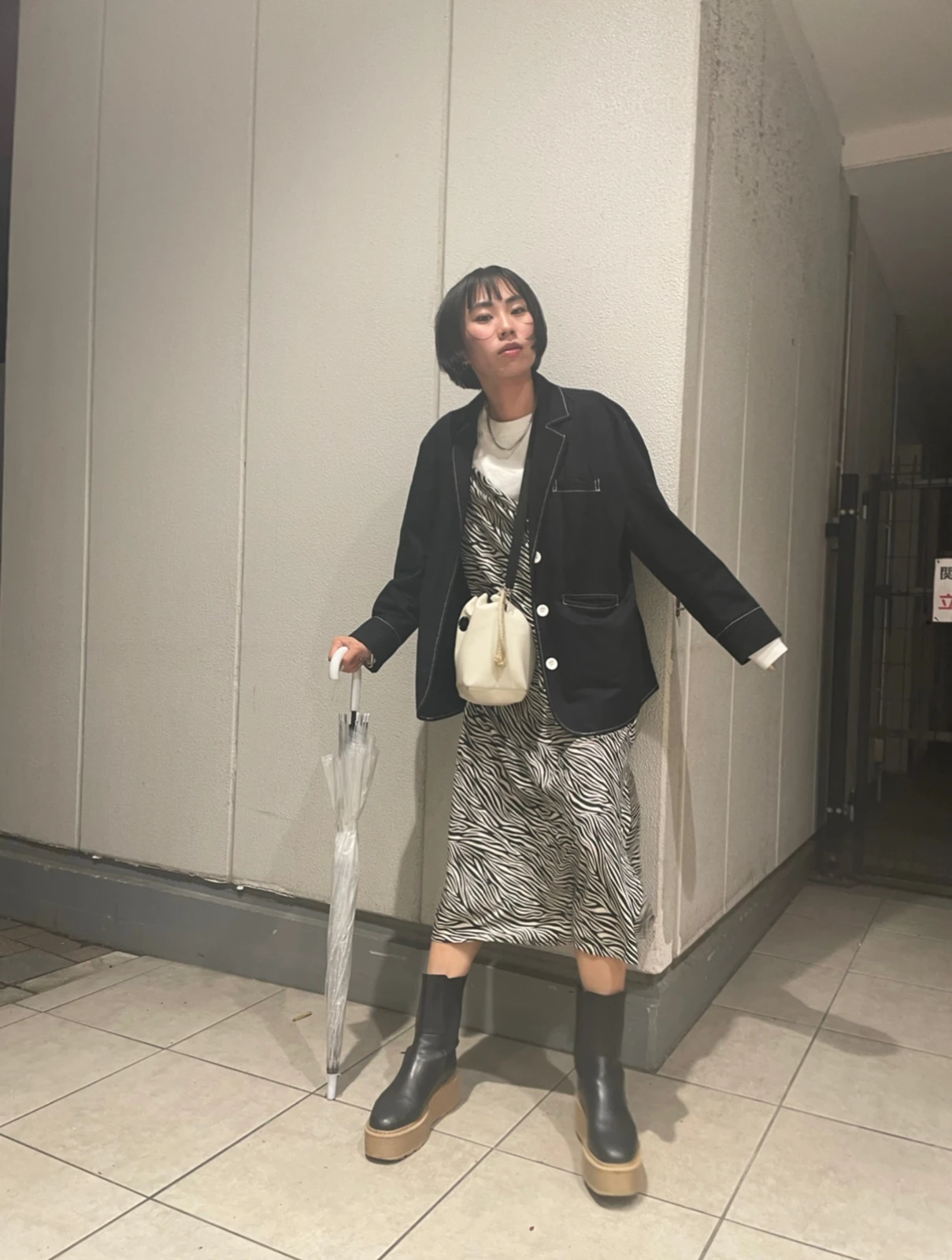 雨の日コーデ ゼブラ柄ワンピース ジャケット Lynntatsuiwaが投稿したフォトブック Lemon8