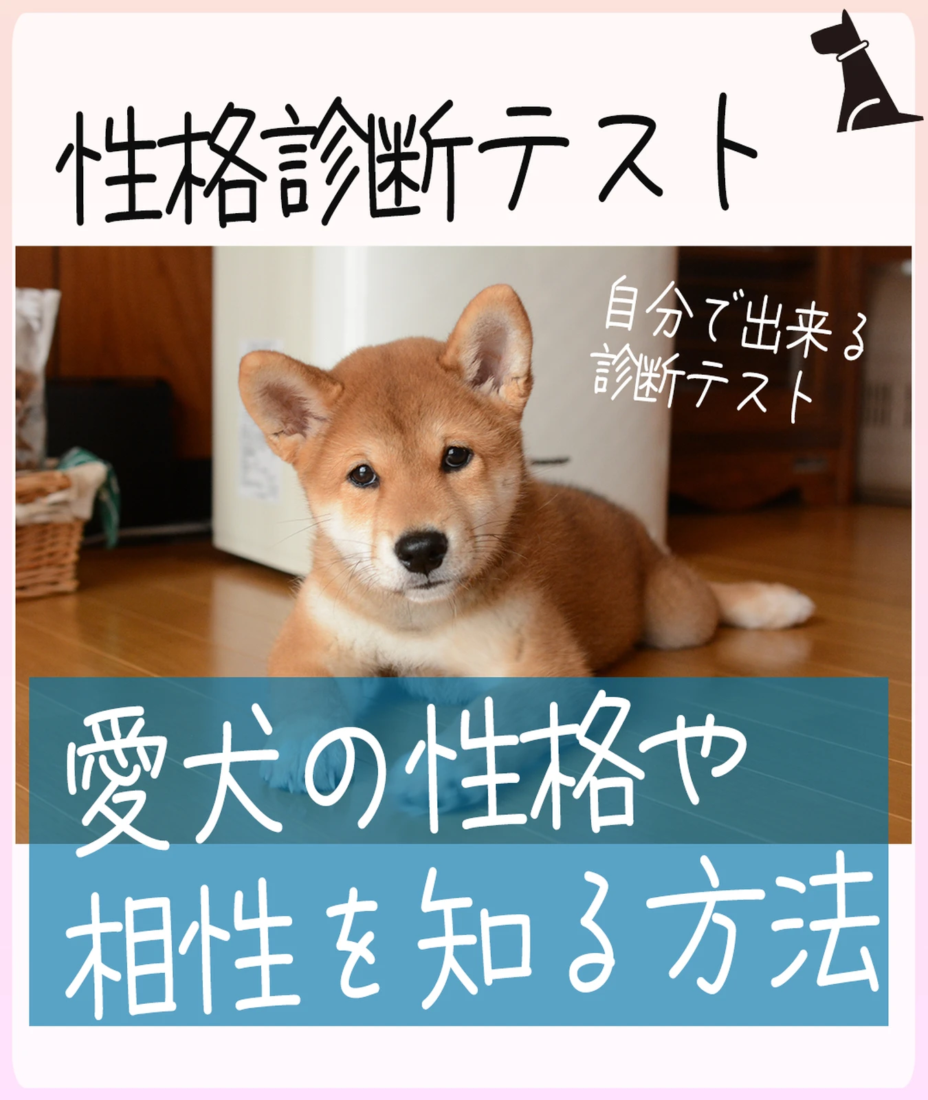 犬のきもち Lemon8