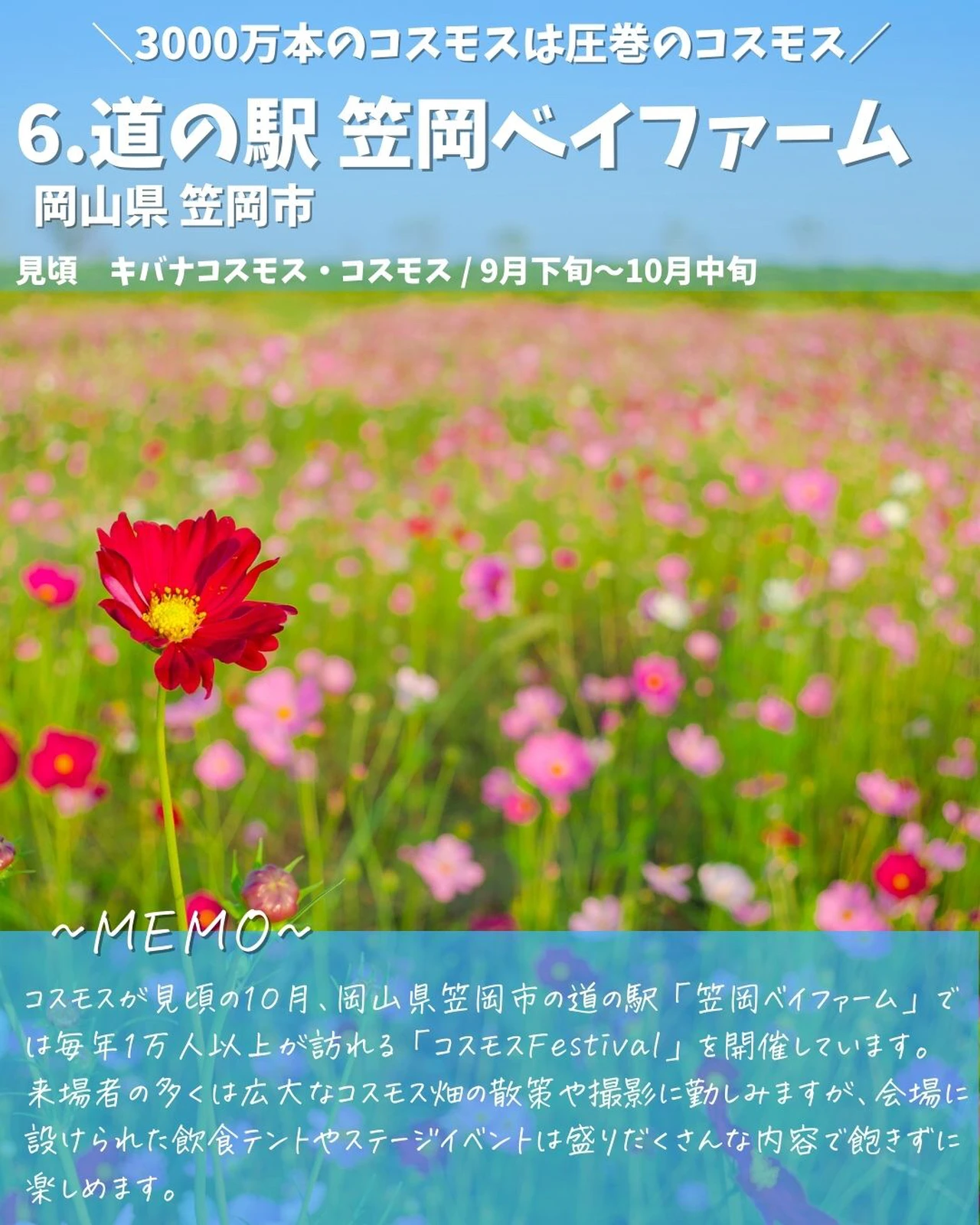 絶対行きたい 絶景コスモス畑 7選part1 日本の映え旅 絶景旅ナビが投稿したフォトブック Lemon8