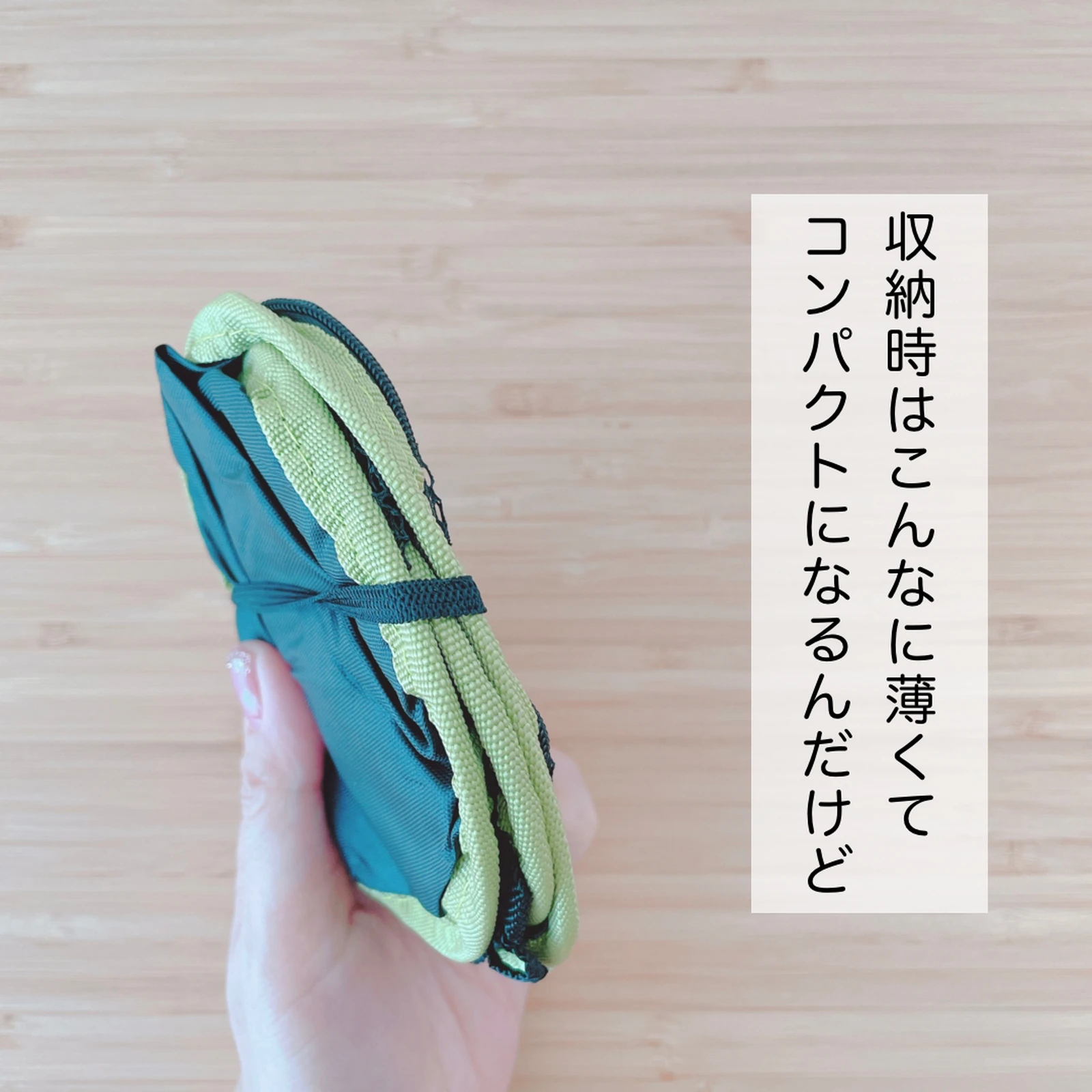 100均 超コンパクト セリアの折りたたみ虫かごが便利だった みなで 100均でワクワク生活が投稿したフォトブック Lemon8