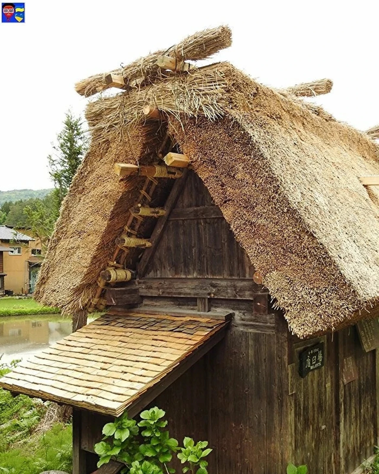 新しい茅葺き屋根 白川郷 圭ちゃん が投稿したフォトブック Lemon8 新しい茅葺き屋根 白川郷 圭ちゃん が投稿したフォトブック Lemon8