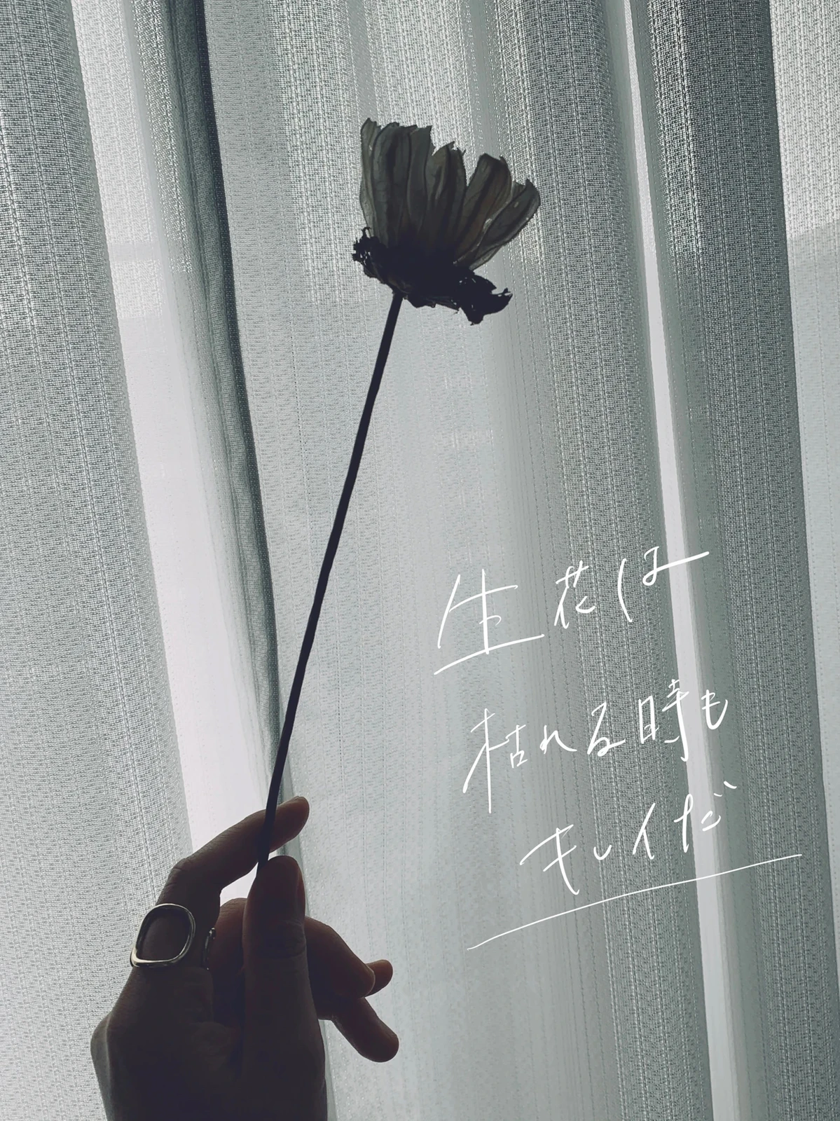 エモい写真が好き Makiが投稿したフォトブック Lemon8