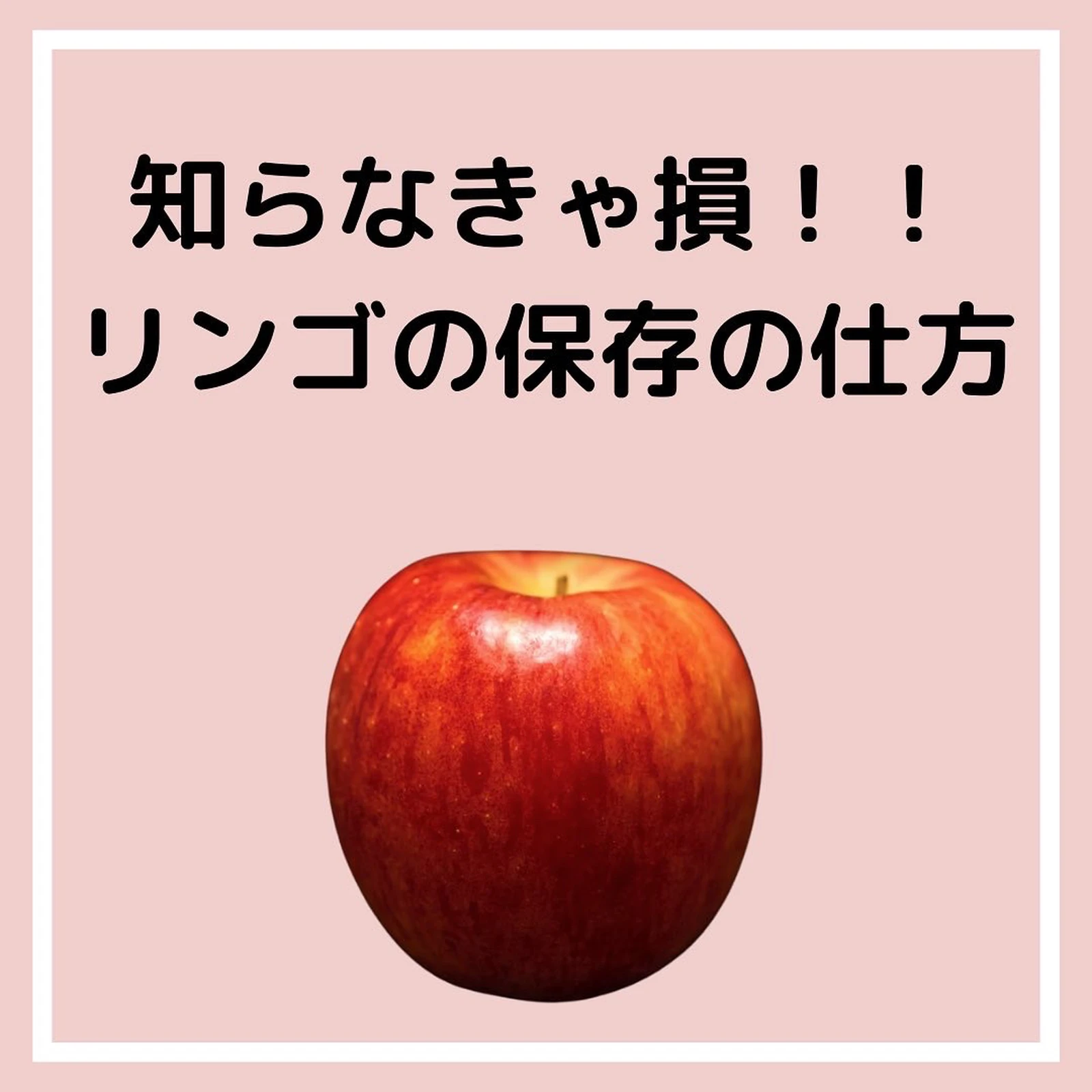 デュオリンゴ英語 Lemon8