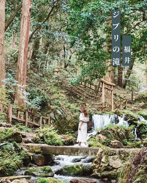 【福井県】まるでジブリの世界 ✽.｡百名泉の滝が美しすぎるの画像