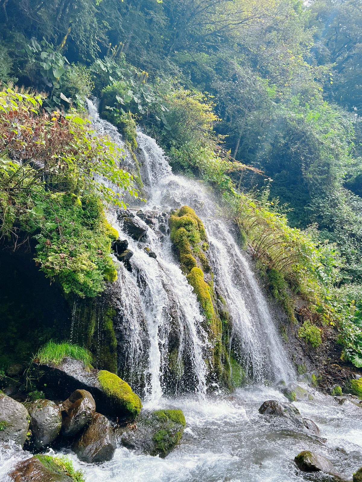 吐竜の滝 山梨県 みが投稿したフォトブック Lemon8