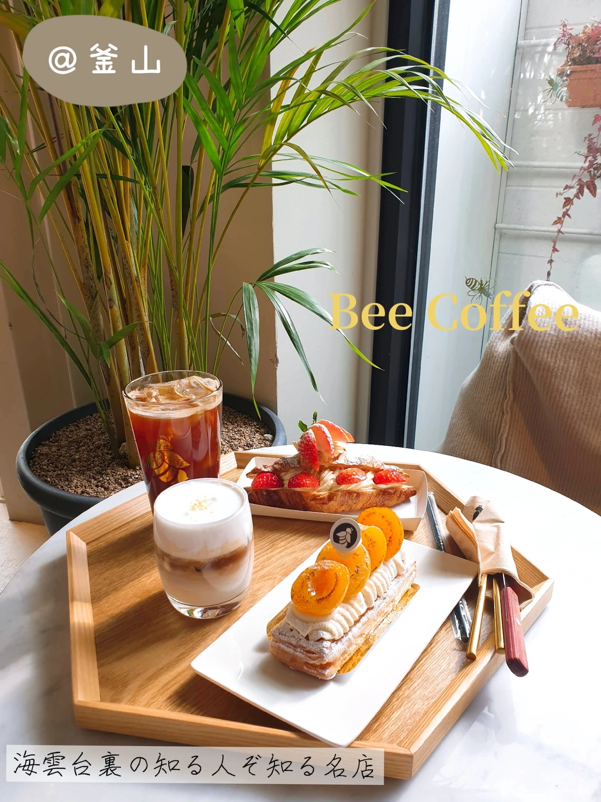 釜山カフェ ミツバチがモチーフのかわいいカフェ いと 韓国旅行ガイドが投稿したフォトブック Lemon8