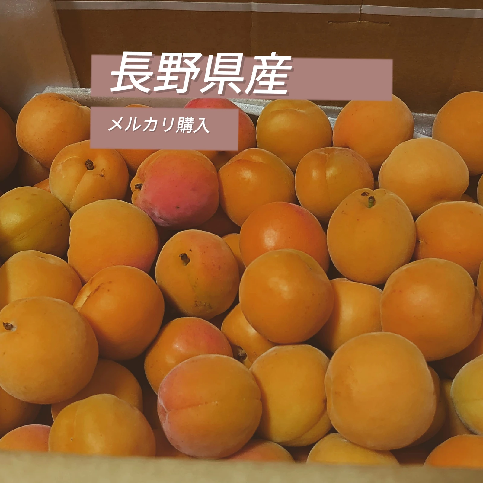 あんずの季節は短い 長野県産杏 あんずシロップ Chiitanが投稿したフォトブック Lemon8