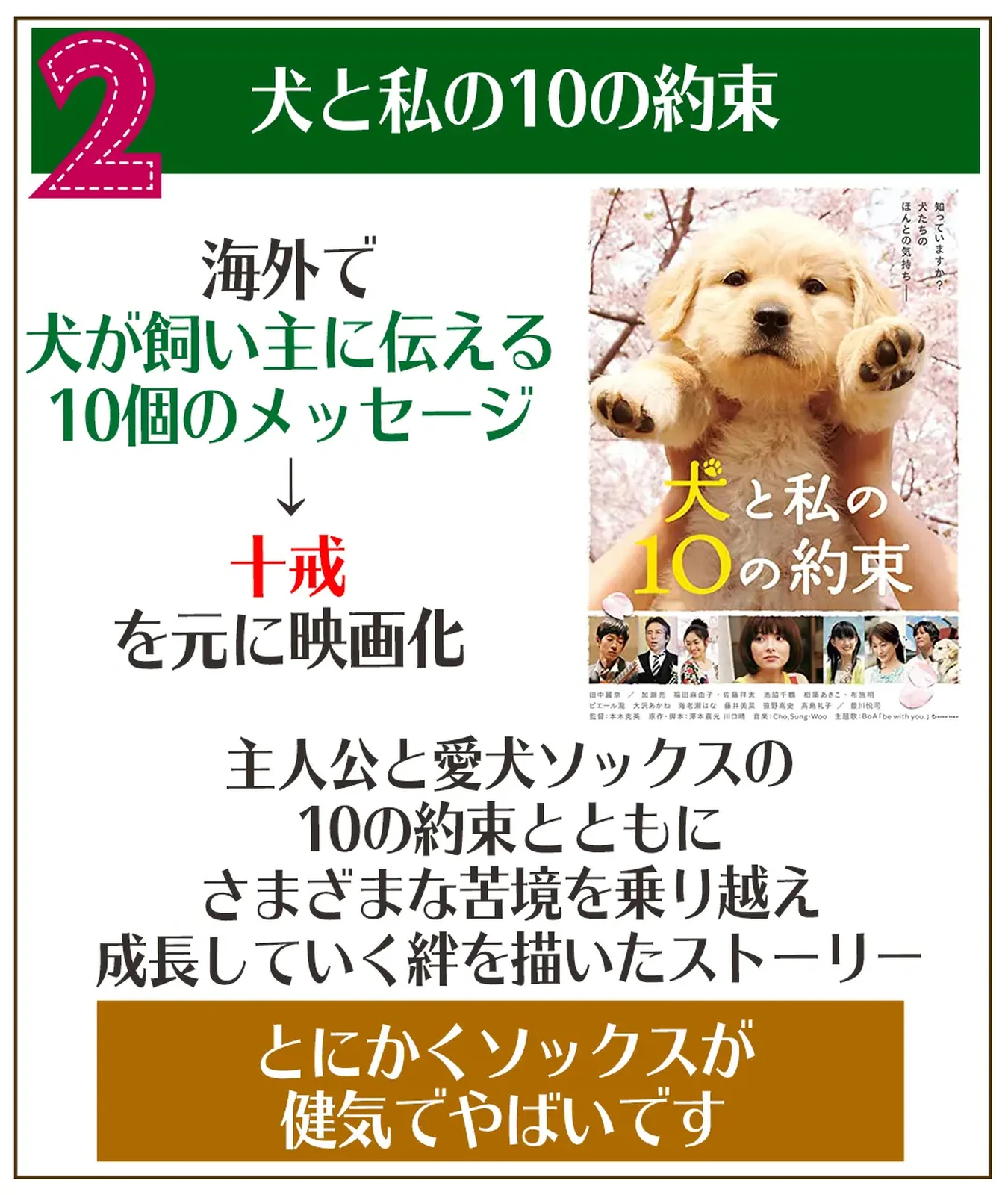 愛犬関係の泣ける動画7選まとめ 犬ラブメディア部が投稿したフォトブック Lemon8