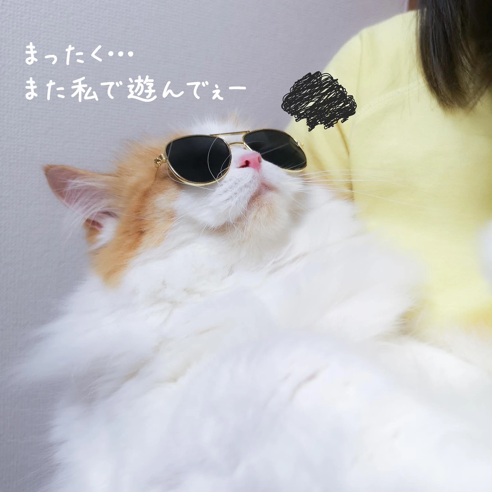 どう 似合う うい姫 猫モデル が投稿したフォトブック Lemon8