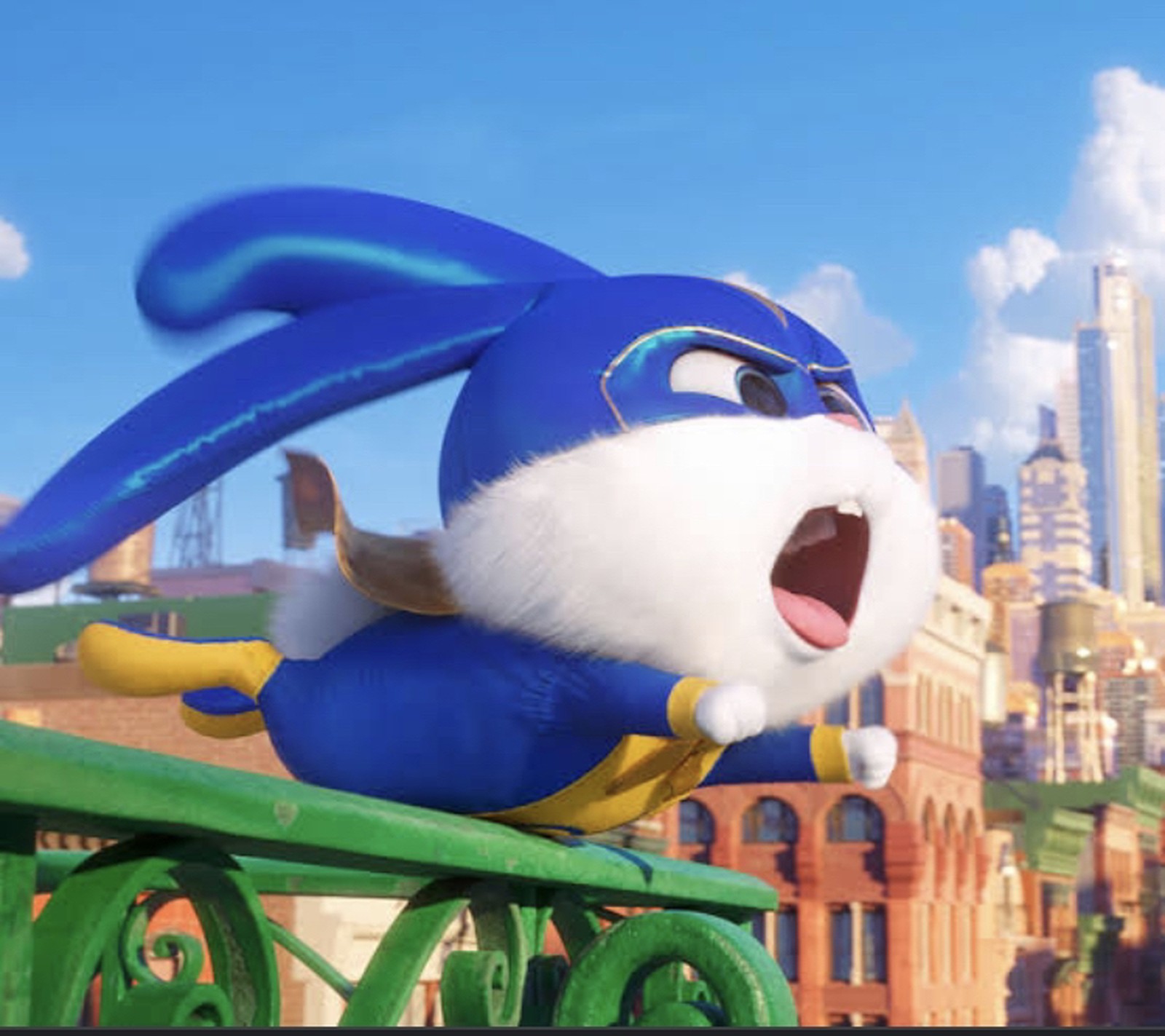 Lemon8 Story 可愛いペット