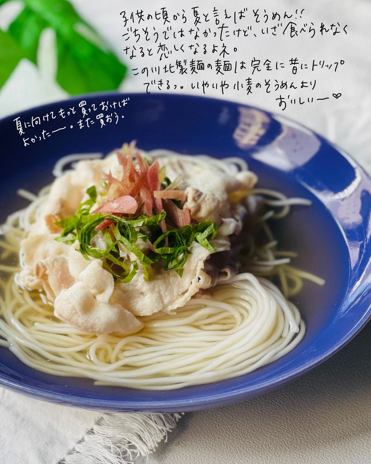 グルテンフリー 米粉のそうめん つるつる過ぎて箸から滑り落ちちゃう Naco グルテンフリーが投稿したフォトブック Lemon8