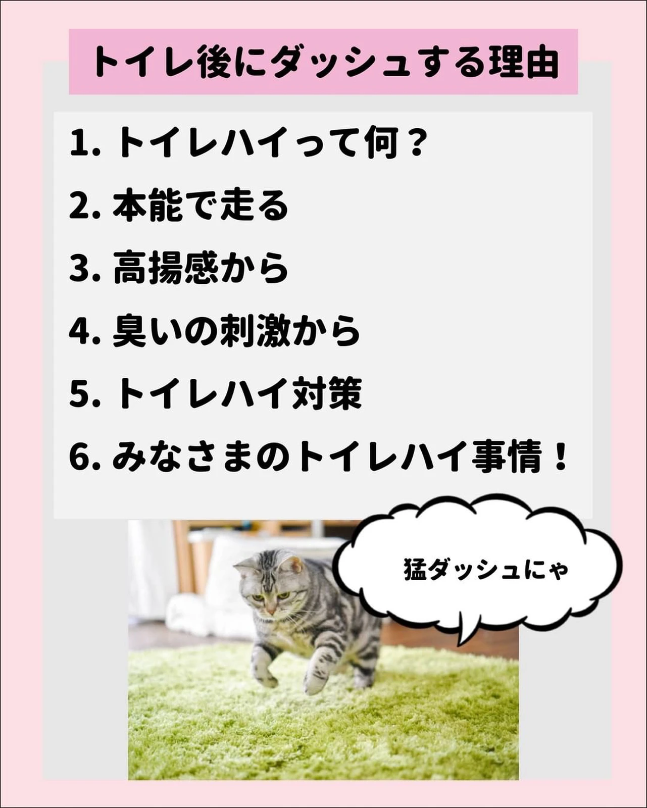 観光に行く 特異な パッチ 猫 トイレ 走る 暴力 原子 アボート