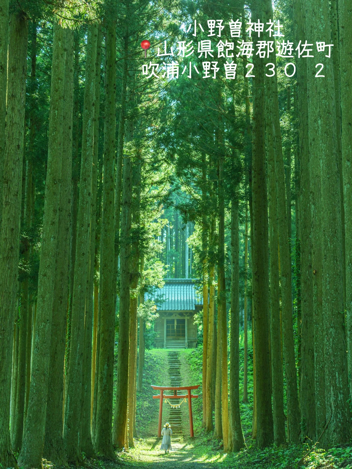 ジブリっぽい場所 島 Lemon8