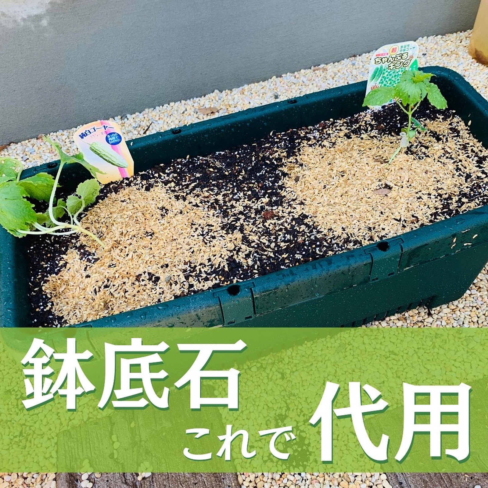 鉢底石これで代用 ばう 小さな家庭菜園役立つ情報が投稿したフォトブック Lemon8