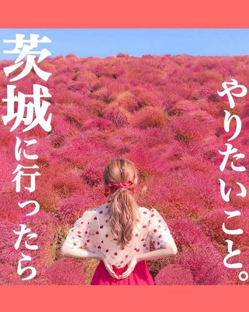お花畑コーデに関する最新の人気投稿 Lemon8