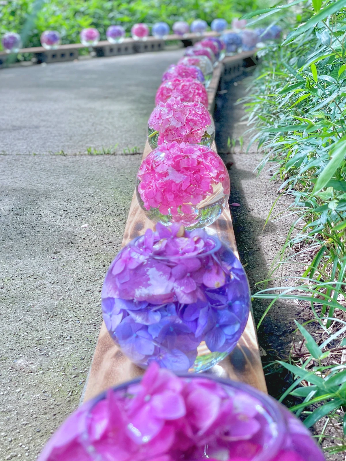 奈良 般若寺の紫陽花ガラスボール Akaneが投稿したフォトブック Lemon8