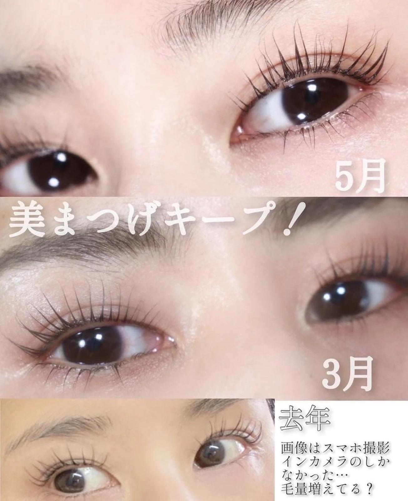 これで伸びる まつげの伸ばし方 増やし方 まあいが投稿したフォトブック Lemon8