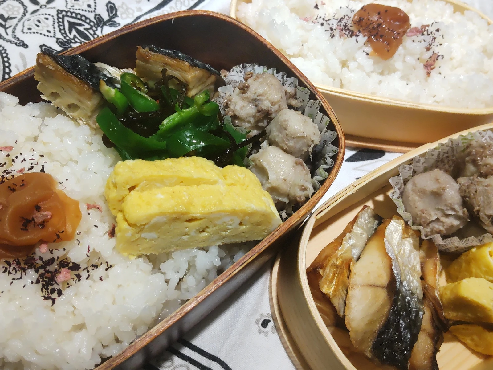 鯖の塩焼きで 子供達の お弁当 阿部真実が投稿したフォトブック Lemon8