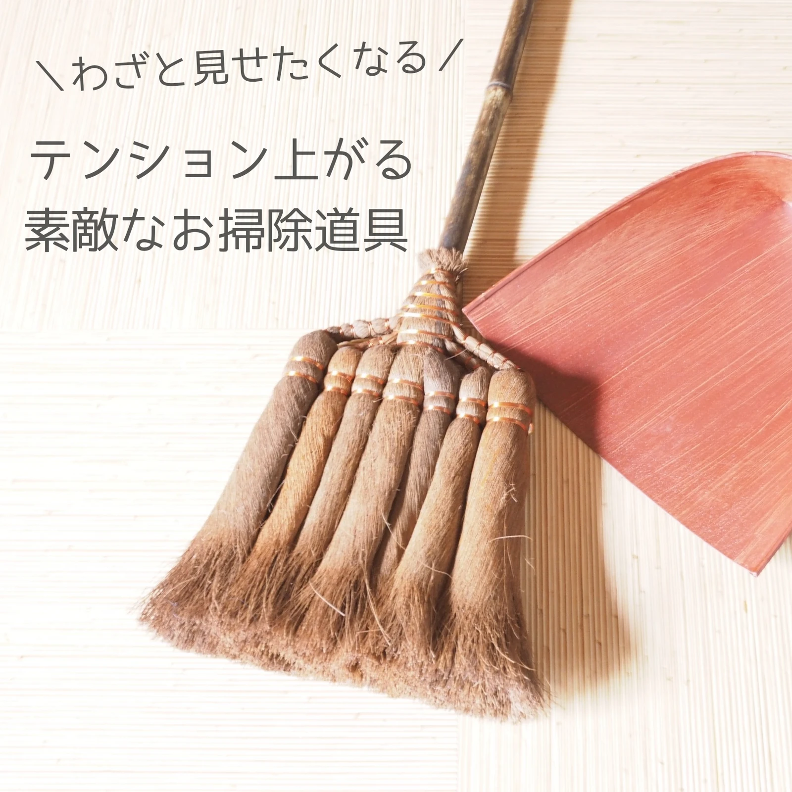 テンション上がる 素敵なお掃除道具2選 Shionが投稿したフォトブック Lemon8