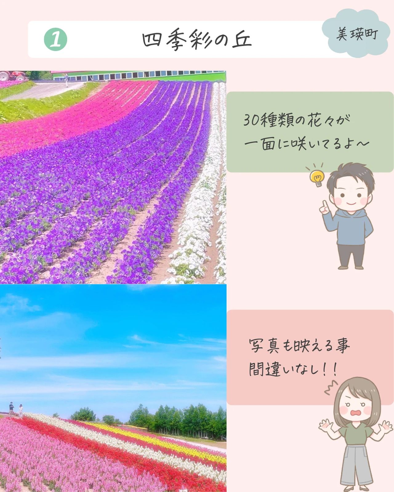 北海道のお花畑 絶景デートスポット7選 えびな夫婦 北海道デートプランが投稿したフォトブック Lemon8 北海道のお花畑 絶景デートスポット7選 えびな夫婦 北海道デートプランが投稿したフォトブック Lemon8