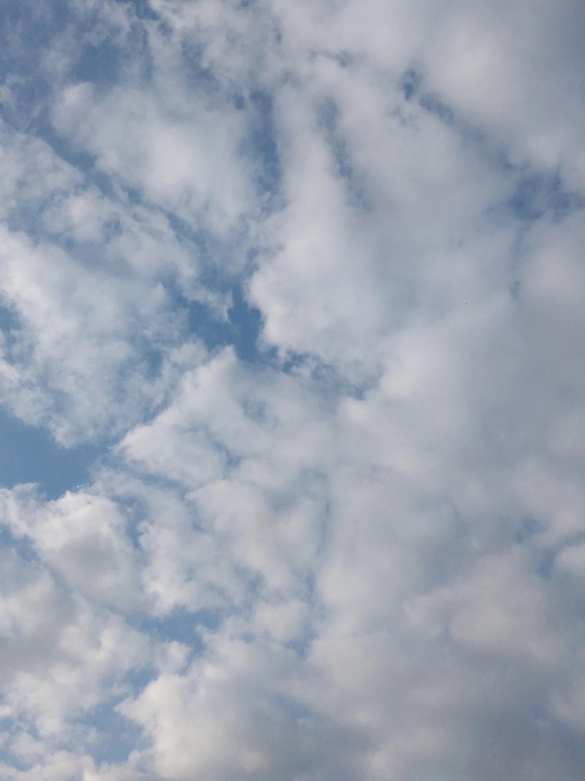 家の近くに綺麗な雲 Hikari が投稿したフォトブック Lemon8