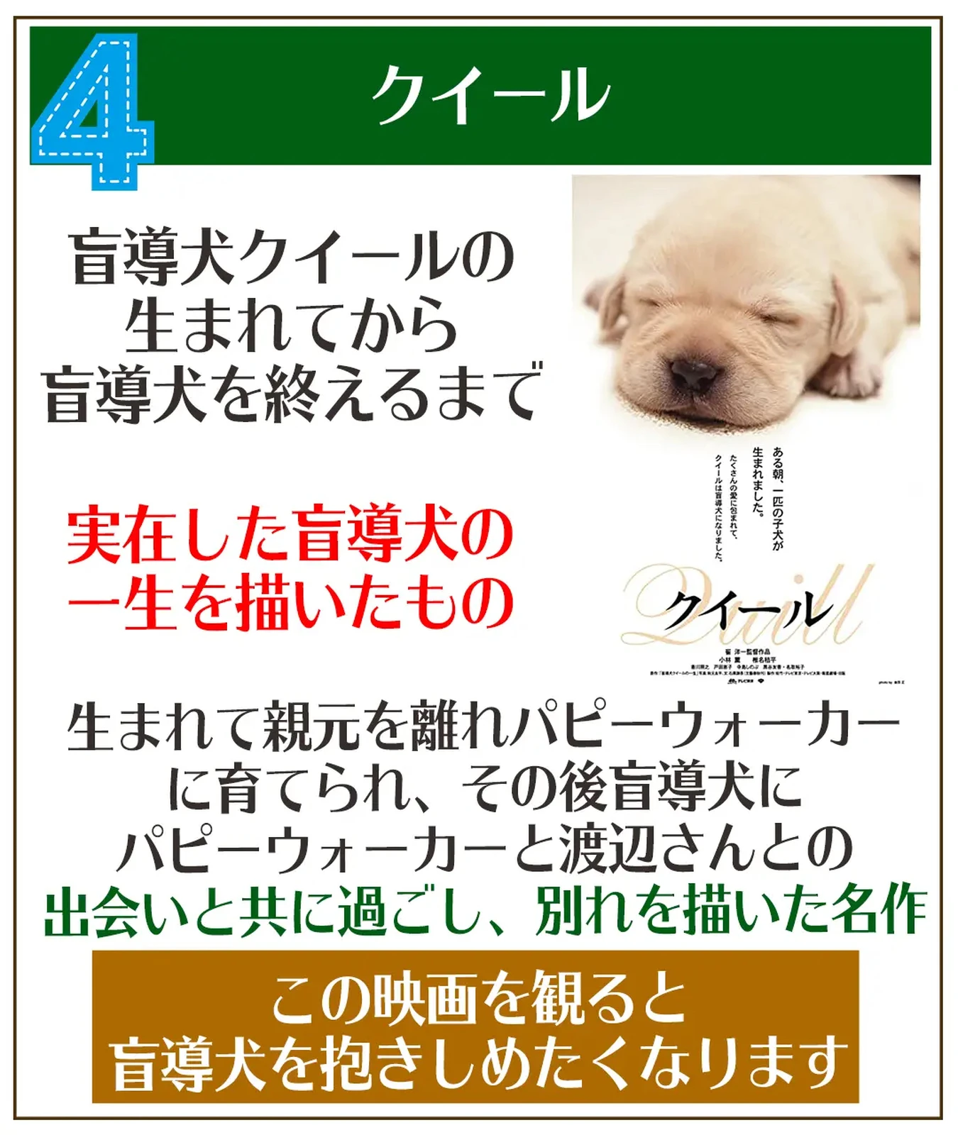 愛犬関係の泣ける動画7選まとめ 犬ラブメディア部が投稿したフォトブック Lemon8