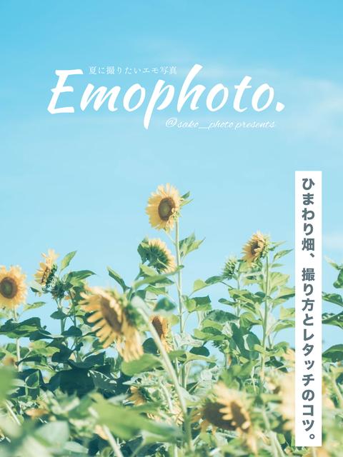 【夏のエモ写真】ひまわり畑の撮り方とレタッチのコツ🌻