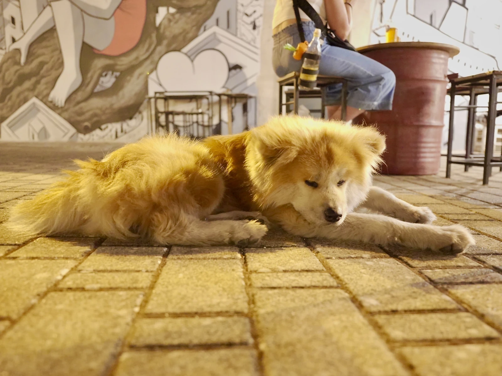 イタリアの街灯は雰囲気がいい 秋田犬 サンゴが投稿したフォトブック Lemon8