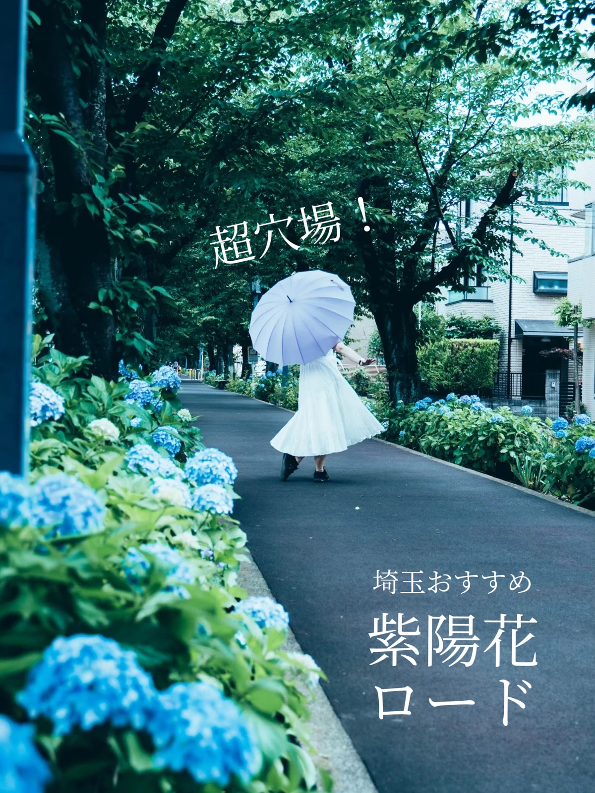 超穴場 埼玉おすすめ紫陽花ロード 櫻子 北埼玉暮らしが投稿したフォトブック Lemon8