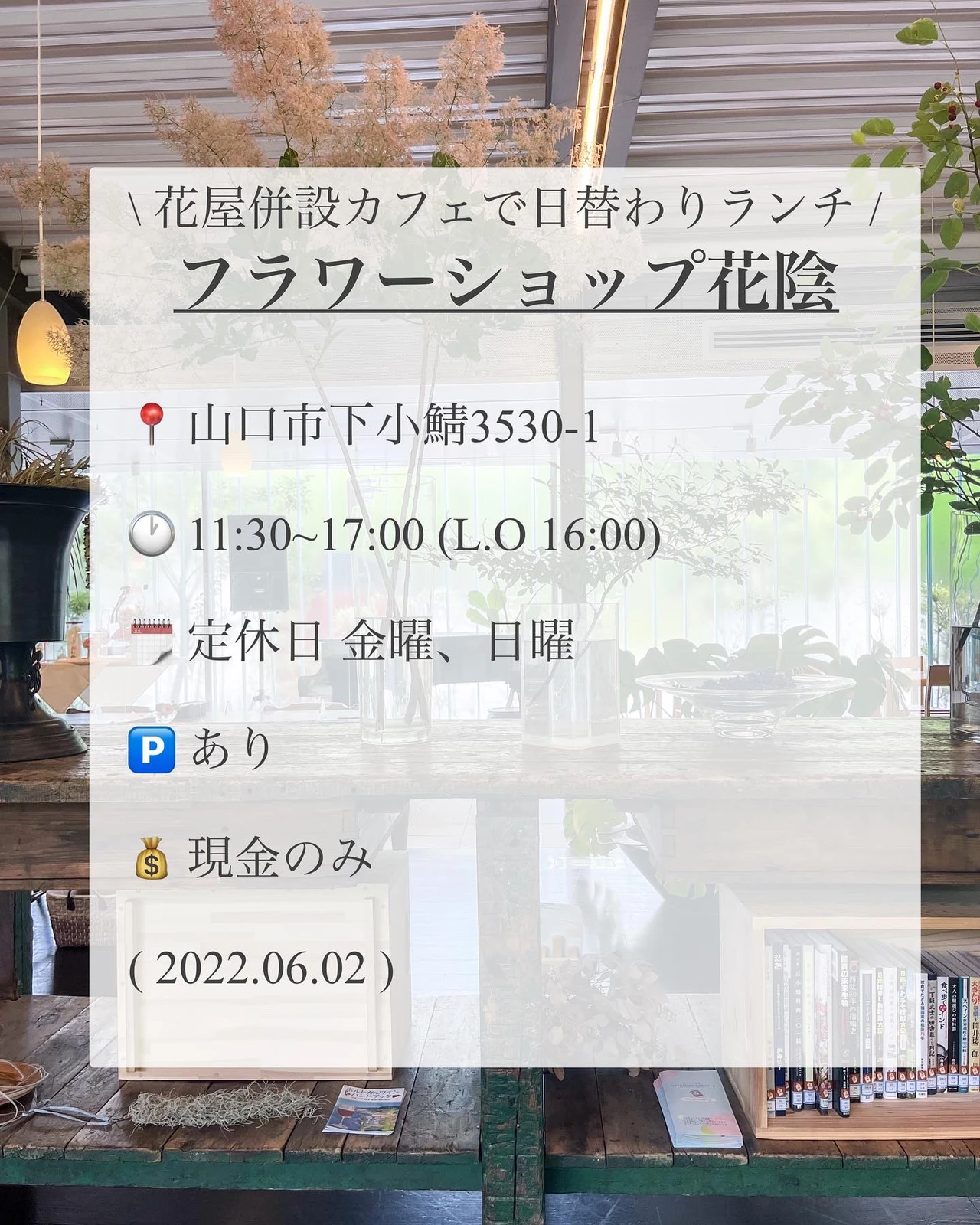 山口県 山口市 花屋併設カフェで日替わりランチ 花屋の娘りょか 旅行 カフェが投稿したフォトブック Lemon8