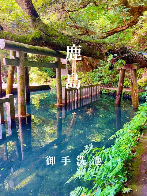 〜茨城県〜神秘的な池！鹿島神宮　御手洗い池の画像