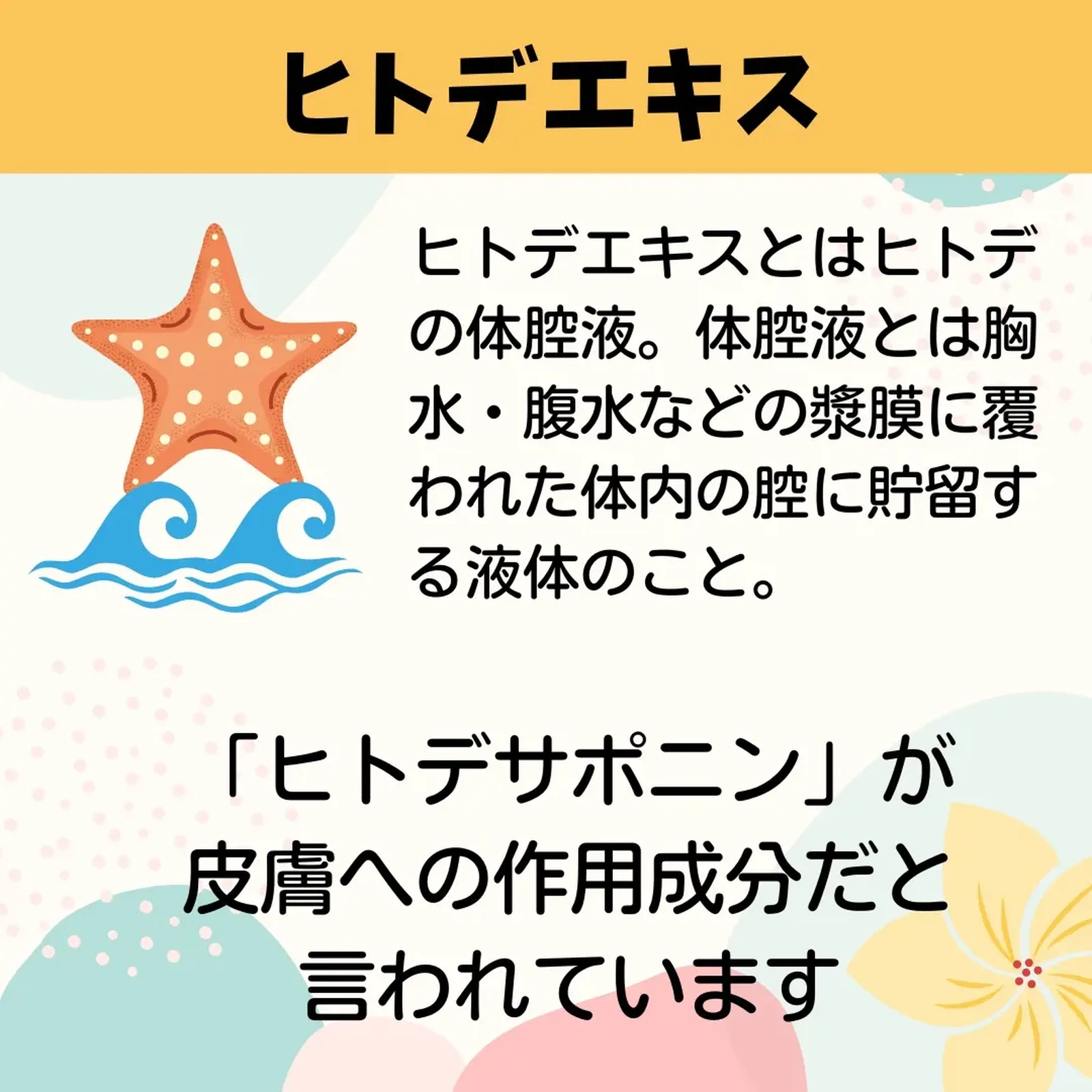 ヒトデエキス どんな効果 シンビュルテagコンセントセラムa ハチマルが投稿したフォトブック Lemon8