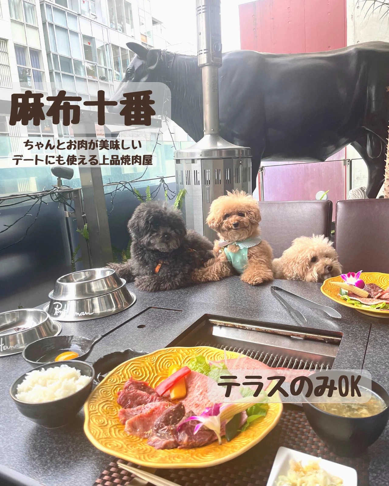 都会のど真ん中で犬と焼肉 Neet Kotetsuが投稿したフォトブック Lemon8