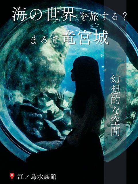 【神奈川・江ノ島】海の世界を旅する？まるで竜宮城 江ノ島水族館
