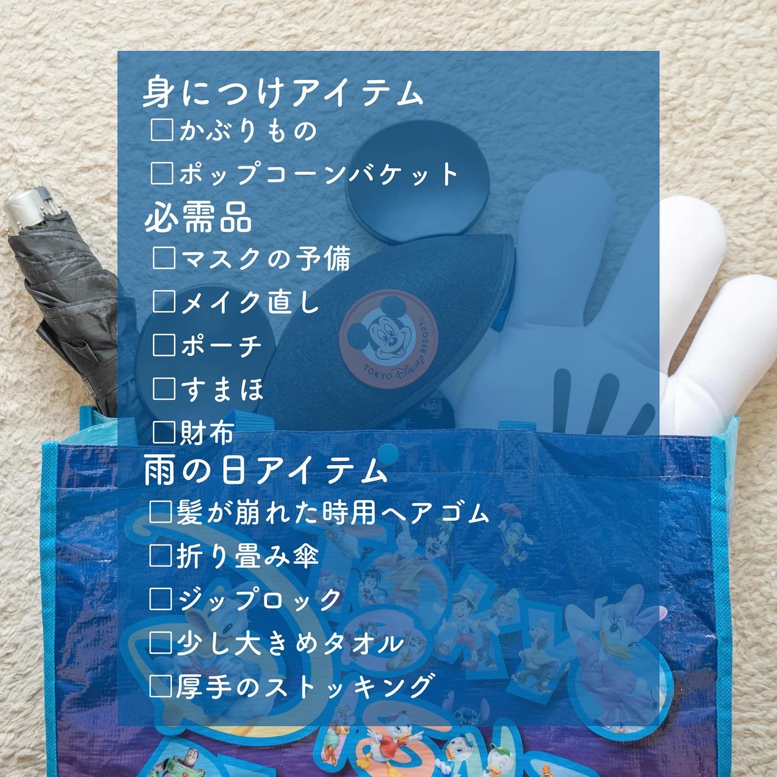 ディズニー 雨ディズニーの持ち物 Kah05disney が投稿したフォトブック Lemon8