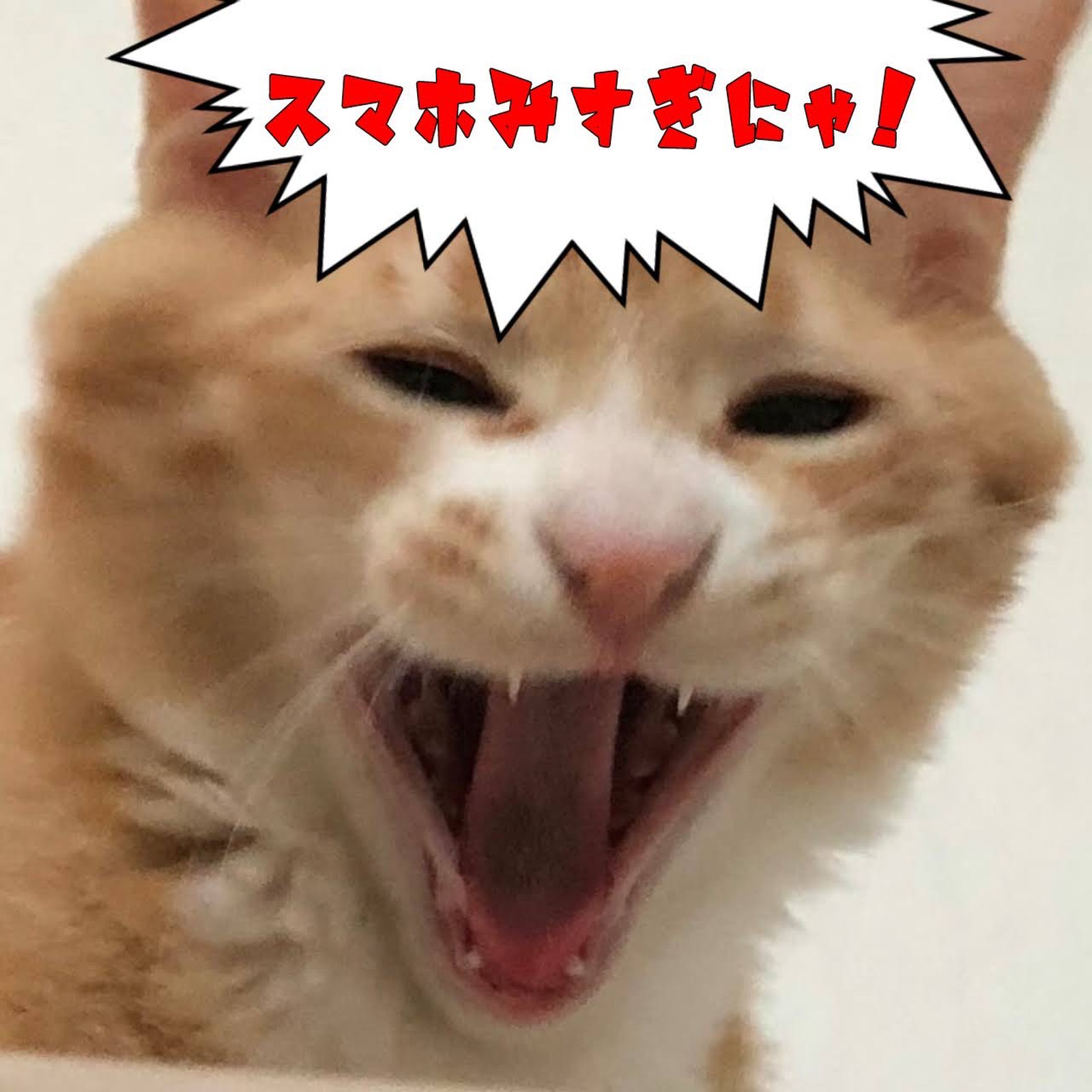 Lemon8 Story Apple Watch 待ち受け