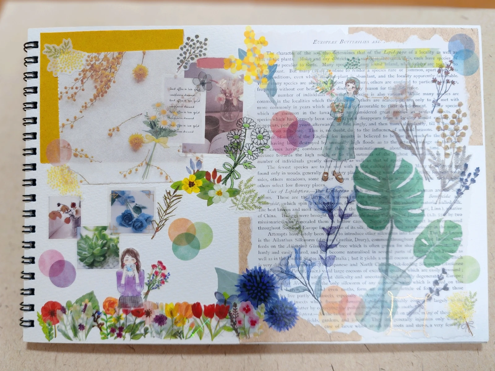 コラージュ 13作品目 エレキが投稿したフォトブック Lemon8 コラージュ 13作品目 エレキが投稿したフォトブック Lemon8