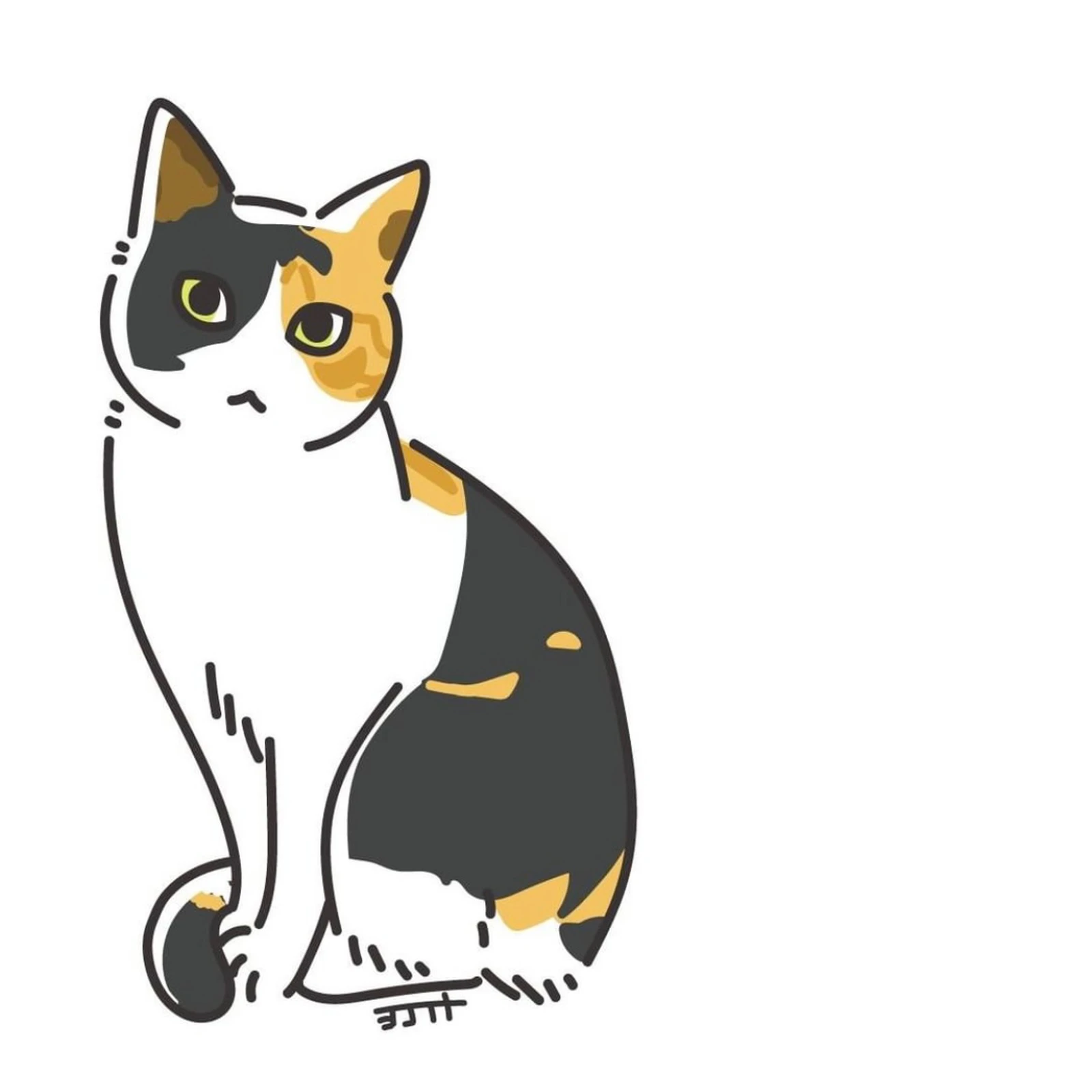 三毛猫尊い ヨコイトが投稿したフォトブック Lemon8