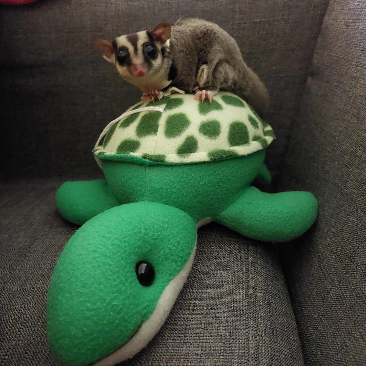 Budder Party s Post Lemon8