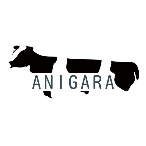 ANIGARAの画像