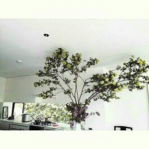 masami's Post|Lemon8
