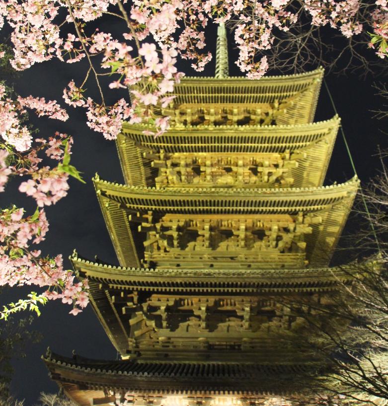 mint京都と関西の花と絶景