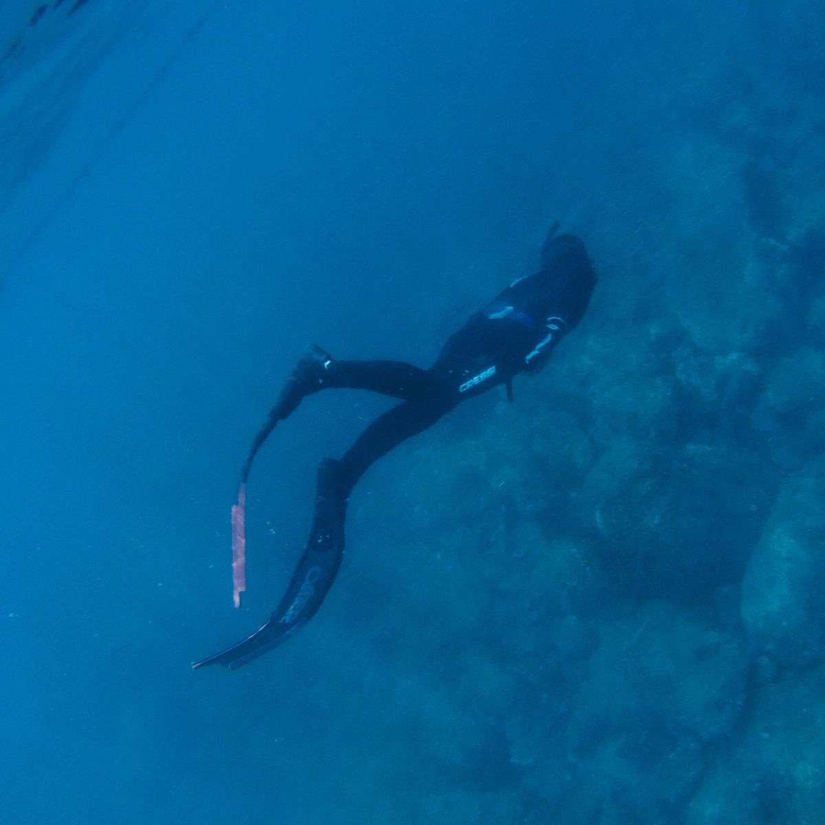 shin_freedivingの画像
