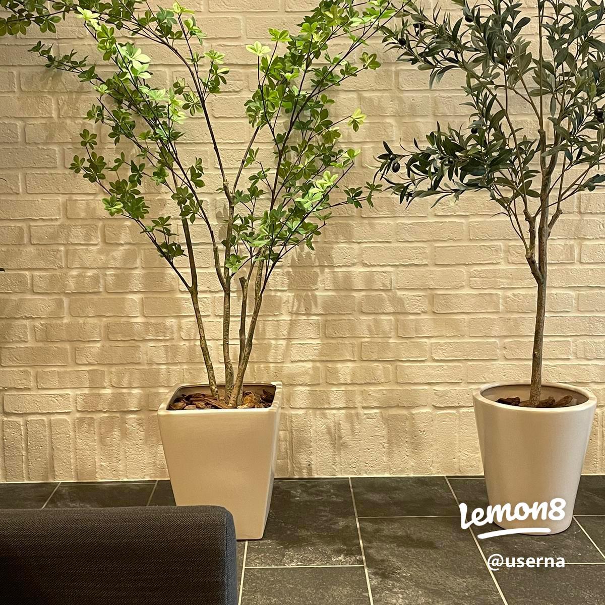 usernaさんの投稿|Lemon8
