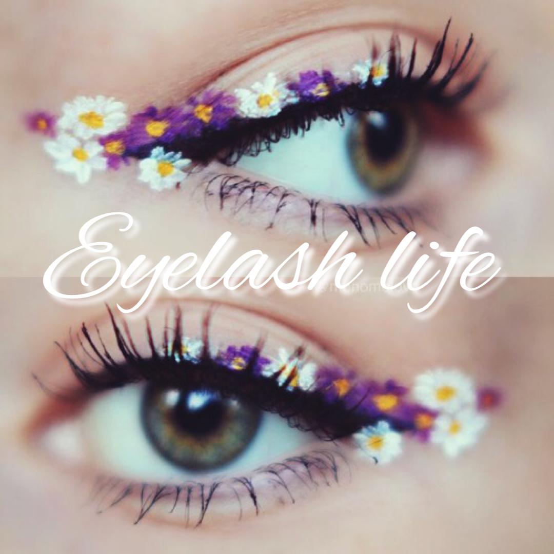 Eyelash_lifeの画像