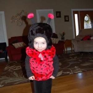 Sadie Bug S Post Lemon8