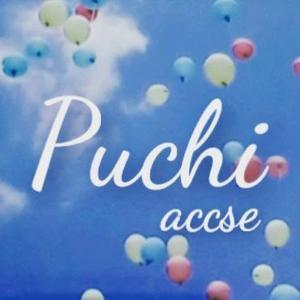 Puchiaccseの画像