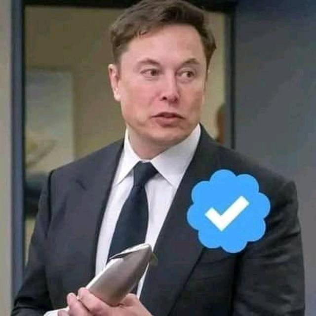 Elom Reeve musk's images