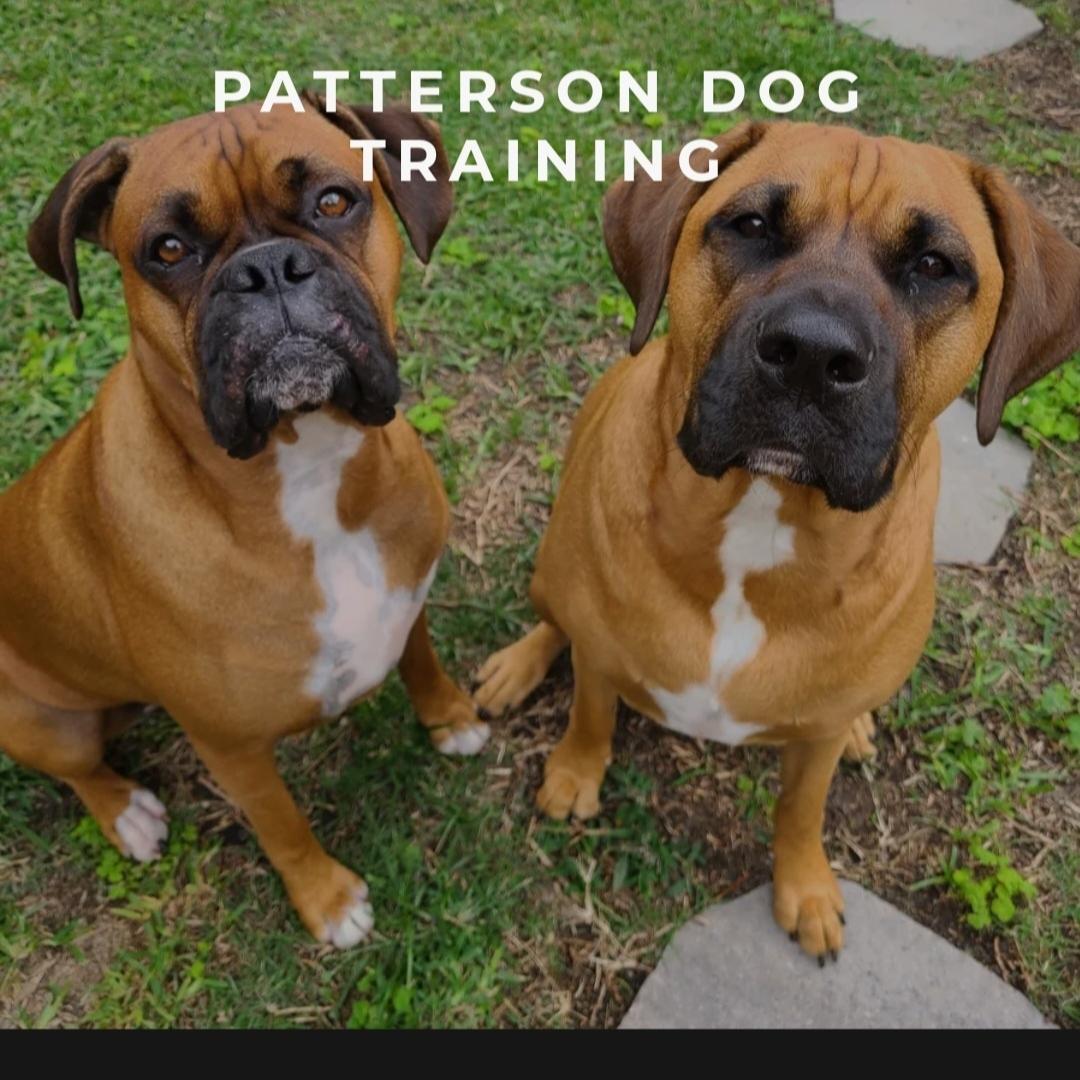 Dogtrainer's images